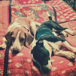 Meet your Posher, Stephen